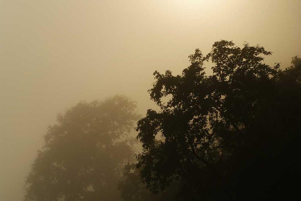 Distinctio nisi placeat numquam